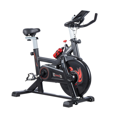 Hot Selling Eco-friendly Spinning Bike with High Quality for Home Use, Charming Design Exercise Spinning Bike
